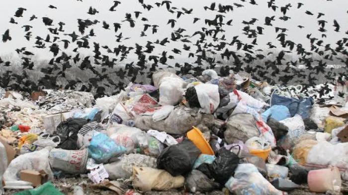 Казахстан накопил 138 миллионов тонн опасных отходов за 2020 год
                14 декабря 2021, 16:35
