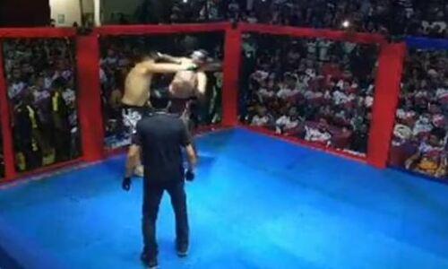 Бразильские политики не хуже бойцов UFC зарубились в октагоне из-за парка. Видео