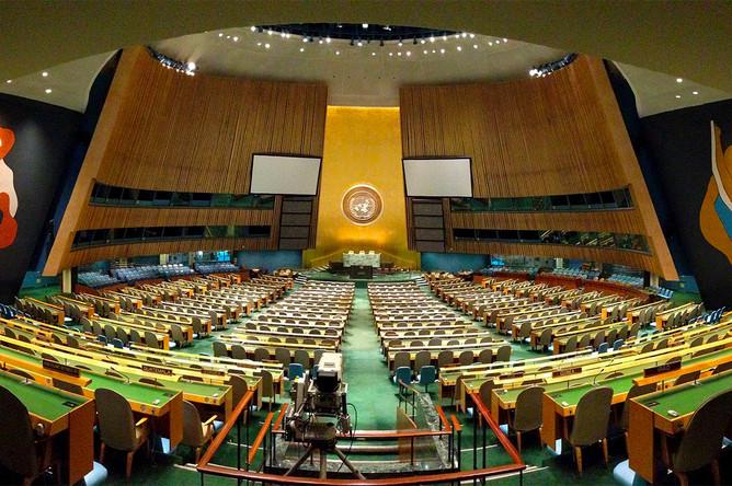 В ООН приняли резолюцию по борьбе с героизацией нацизма