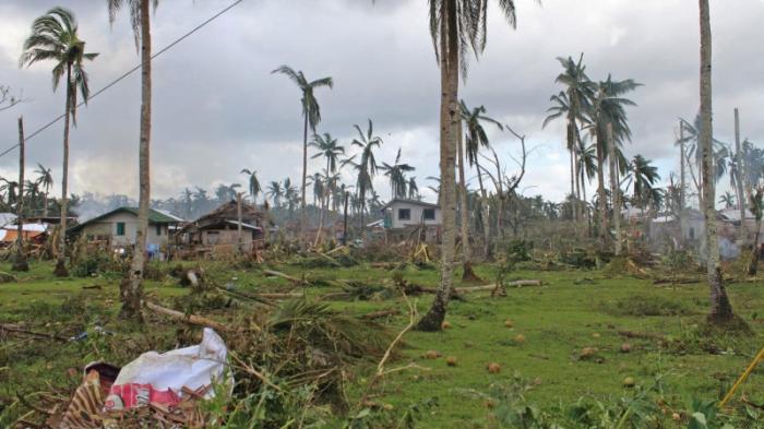 Число погибших из-за тайфуна на Филиппинах достигло 208 - СМИ
                20 декабря 2021, 09:17