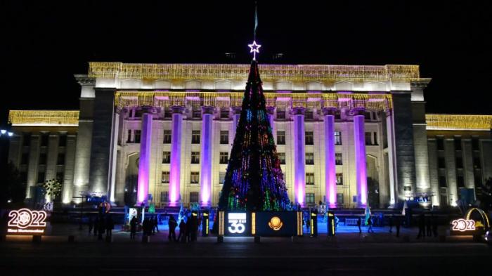 В Алматы зажгли Главную новогоднюю елку
                вчера, 23:53