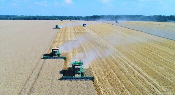 Аграрии собрали рекордные 106 млн тонн зерновых и масличных культур, – Лещенко