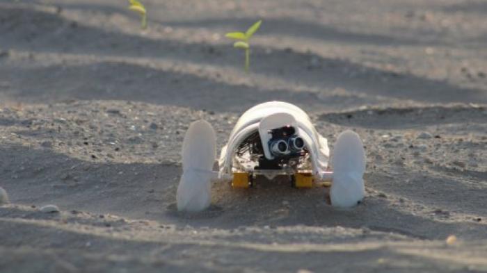 Мини-робота, сажающего семена в пустыне, создали в Дубае
                23 декабря 2021, 14:02