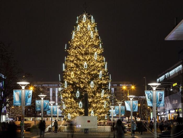 Журналист сравнил, во сколько обошлись местным бюджетам новогодние елки в разных городах Украины