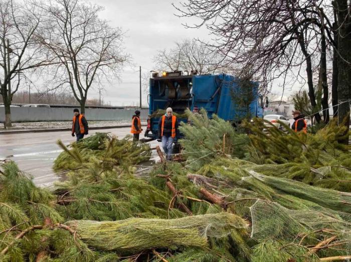 В Одессе сотни непроданных елок выбросили на улицы