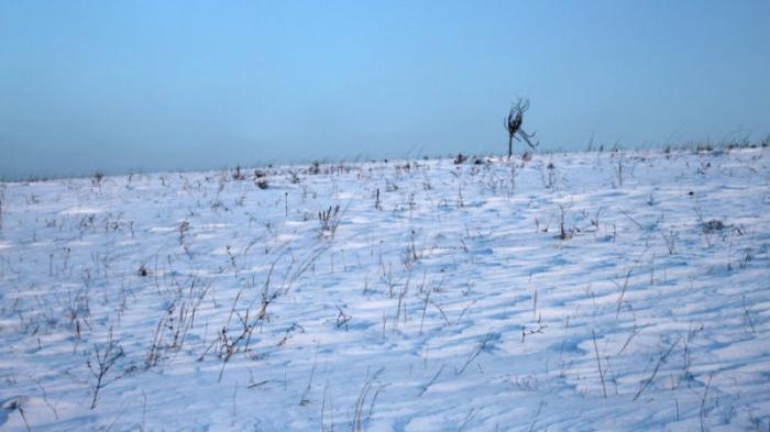 Пропавшего в степи мальчика ищут на снегоходах в Костанайской области
                04 января 2022, 06:24