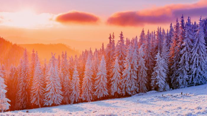 30-градусные морозы придут в Казахстан
                10 января 2022, 11:50