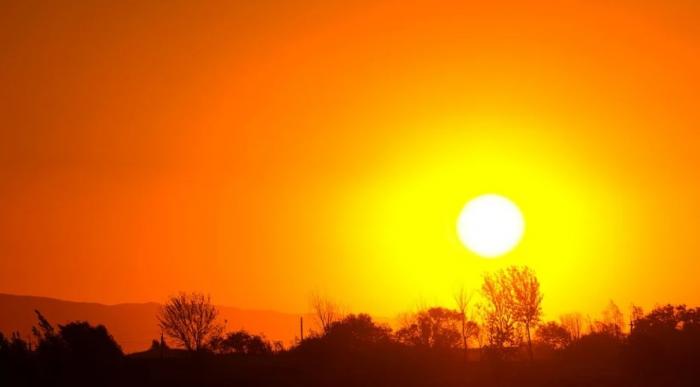 В Австралии установилась рекордная 50-градусная жара