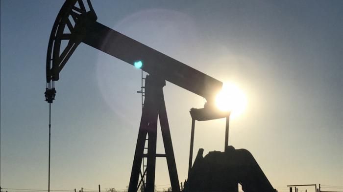 Прогноз по динамике цен на нефть озвучили в Нацбанке
                14 января 2022, 16:09