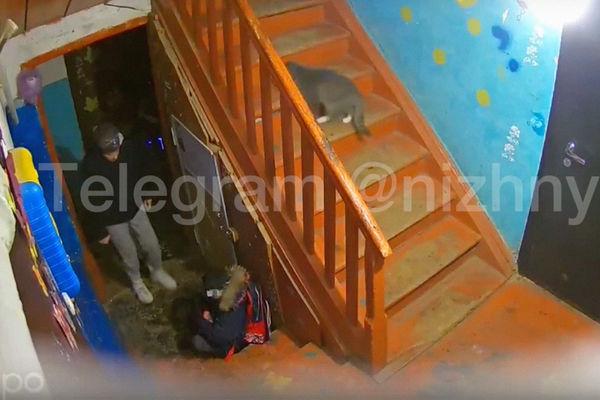 После избиения сына жительница Юганца с двумя дочками сбежала от полиции