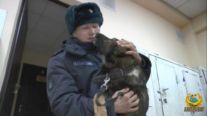 Беспорядки в Алматы: трогательную встречу солдата и похищенного пса сняли на видео
                18 января 2022, 10:27