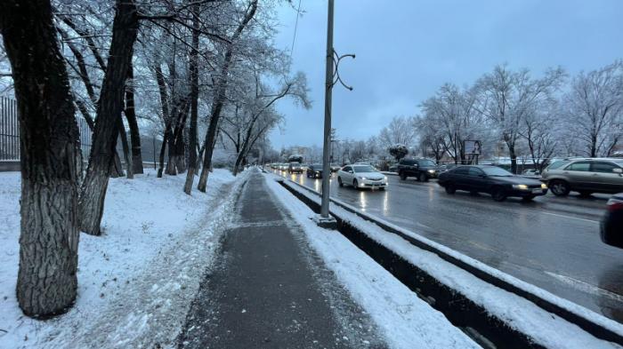 Впервые за долгое время в Алматы выпал снег
                20 января 2022, 09:12