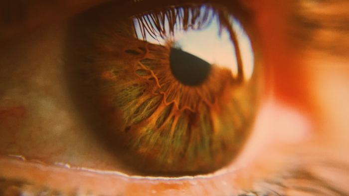 Нейросеть обучили определять риск смерти по сетчатке глаз
                20 января 2022, 17:05