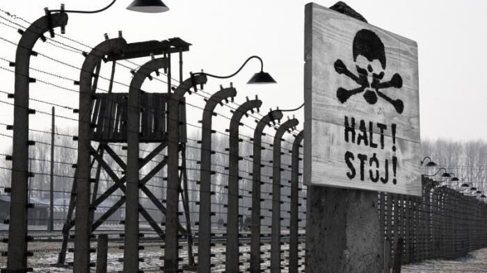Израиль и Германия призвали ООН осудить отрицание Холокоста
                20 января 2022, 19:16