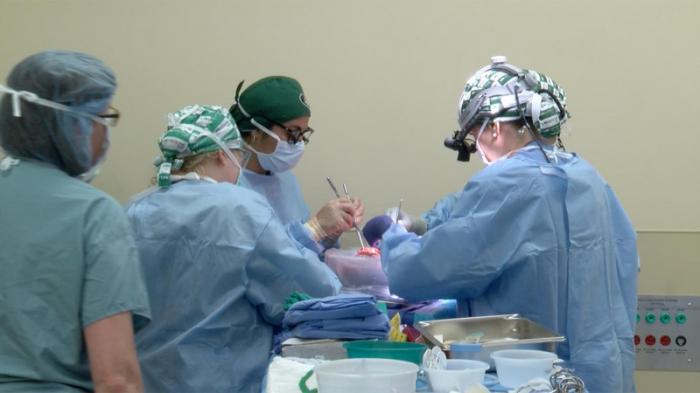 Хирурги из США впервые пересадили человеку сразу две свиные почки
                21 января 2022, 11:40