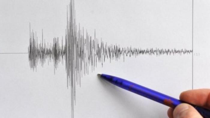 Сильное землетрясение произошло на северо-западе Китая
                25 января 2022, 13:45