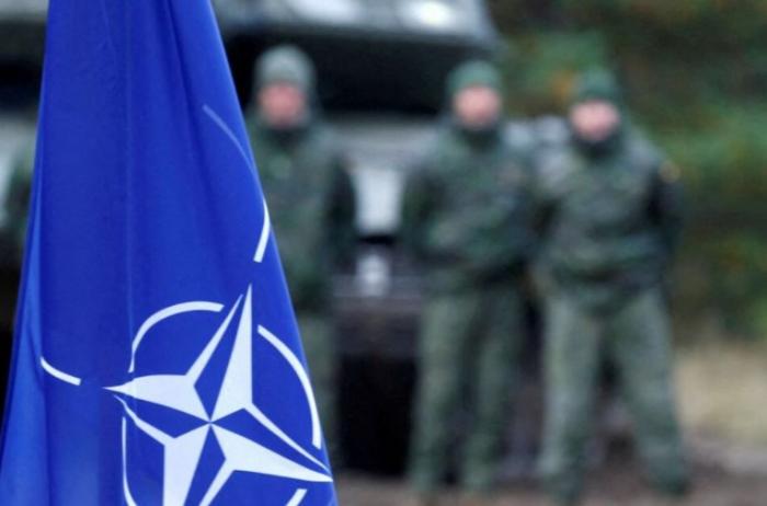 Вопроса о вступлении Украины в НАТО нет на повестке дня, – МИД Германии