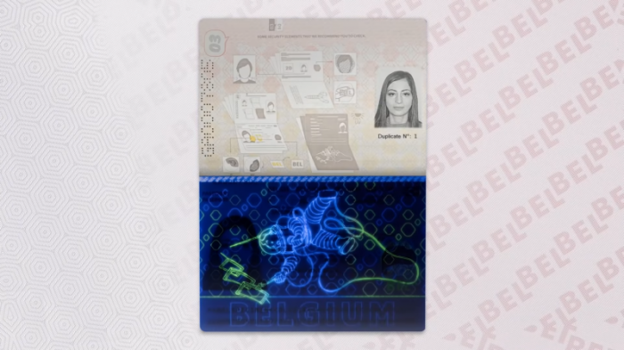 Паспорта с картинками из комиксов начнут выдавать в Бельгии
                28 января 2022, 19:39