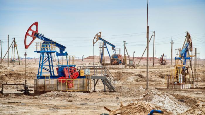 Новые залежи нефти обнаружили на месторождении Узень в Мангистау
                31 января 2022, 10:28