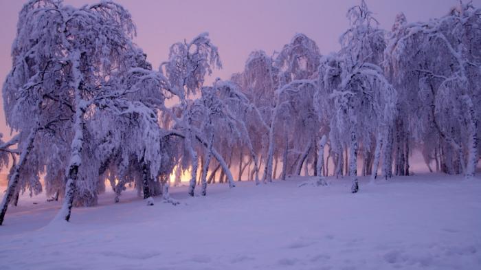 Осадки и усиление морозов прогнозируют в Казахстане
                07 февраля 2022, 14:45