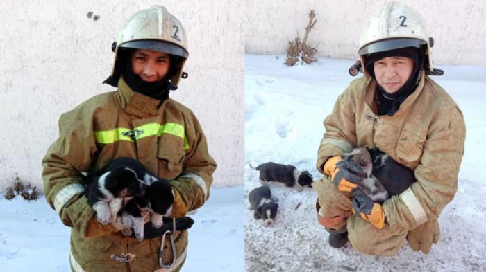 Щенят спасли из огня пожарные в Экибастузе
                07 февраля 2022, 17:39