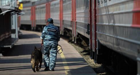 Два факта незаконной перевозки оружия выявили железнодорожные полицейские Карагандинской области
