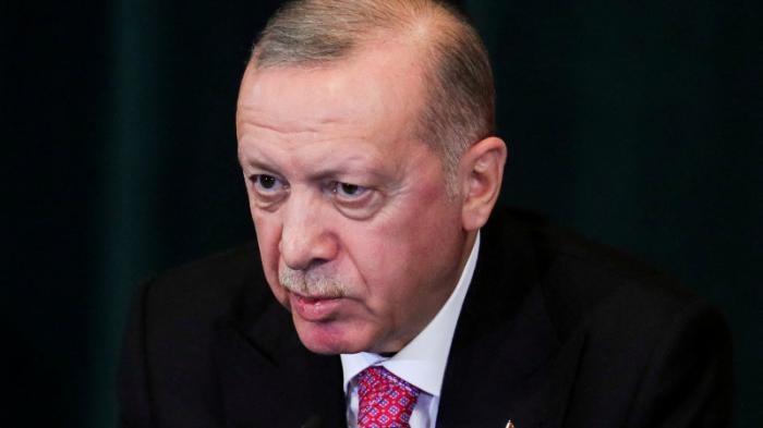 Эрдоган вылечился от коронавируса
                11 февраля 2022, 07:50