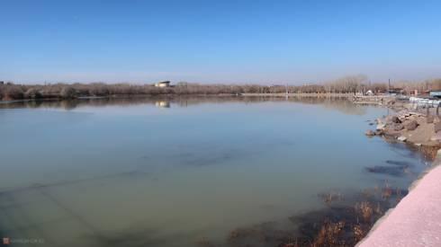В феврале в озеро Центрального парка Караганды запустят бактерии для очистки