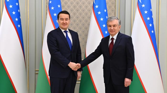 Премьер Смаилов провел переговоры с президентом Узбекистана
                11 февраля 2022, 19:58
