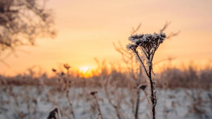 30-градусные морозы придут в Казахстан
                14 февраля 2022, 13:09