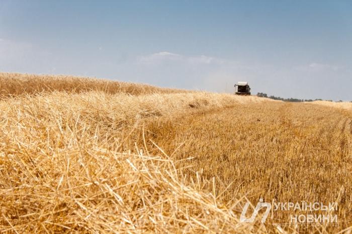 В 2021 запасы пшеницы в Украине увеличились на 49%, муки – на 2%, – Минагрополитики
