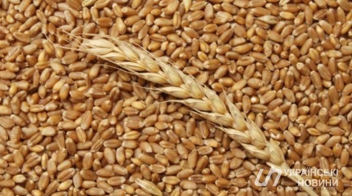 С начала года Украина увеличила экспорт зерна на 34,5%