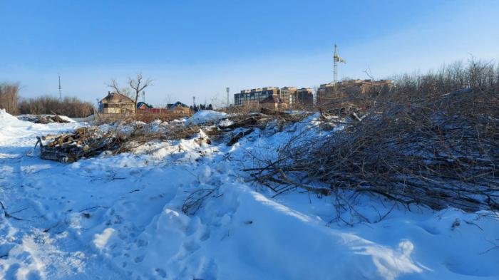 Экоскандал в Уральске: общественников возмутила вырубка деревьев в водоохранной зоне
                15 февраля 2022, 14:33