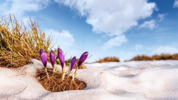 Какой будет весна: прогноз от Казгидромета
                16 февраля 2022, 11:32