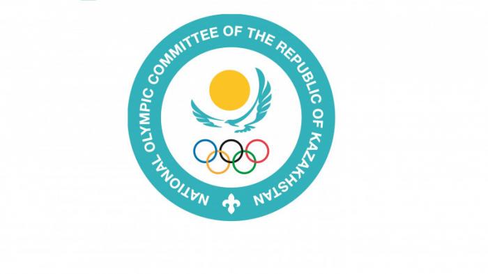 Государство перестанет финансировать Национальный олимпийский комитет
                17 февраля 2022, 18:39