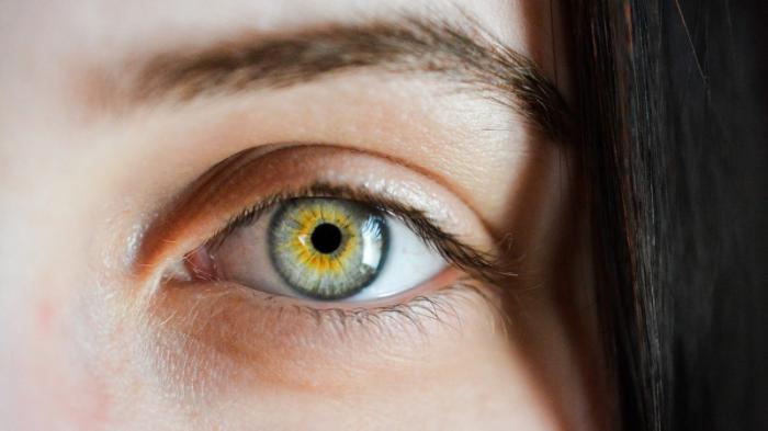 Сотни обладателей бионических глаз рискуют потерять зрение
                18 февраля 2022, 11:54