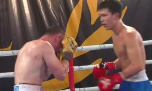 Чемпион WBC и WBO из Казахстана в кровавой зарубе выиграл еще один титул. Видео