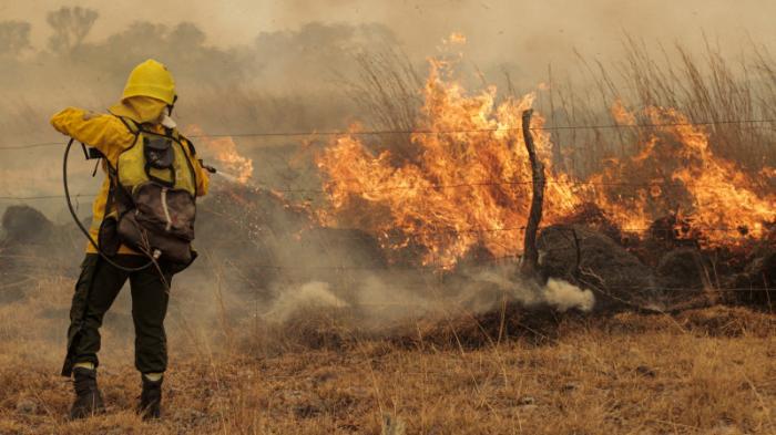 К концу столетия число лесных пожаров возрастет - ООН
                25 февраля 2022, 05:30