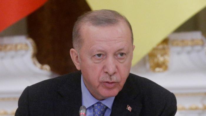 Эрдоган упрекнул НАТО и ЕС в недостаточной помощи Украине
                25 февраля 2022, 19:52