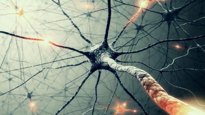 Специалисты создали предсказывающую течение болезни нейросеть
                27 февраля 2022, 23:24