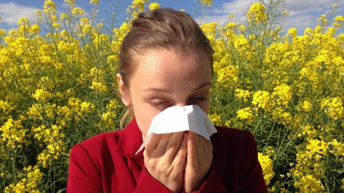 Врач рассказала о способах лечения сезонной аллергии
                28 февраля 2022, 07:22