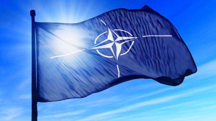 НАТО впервые развернуло элементы сил реагирования альянса
                01 марта 2022, 05:55