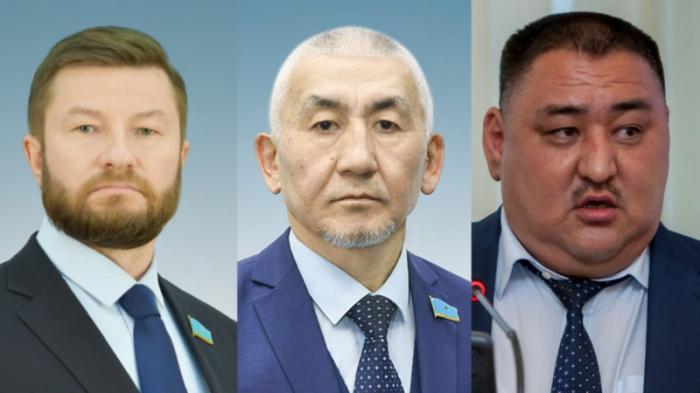 Два депутата Мажилиса и член ЦИК досрочно прекратили полномочия
                09 марта 2022, 10:19