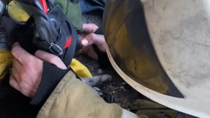 Пожарные спасли мужчину и оживили его кота с помощью дыхательного аппарата в Павлодаре
                13 марта 2022, 02:13