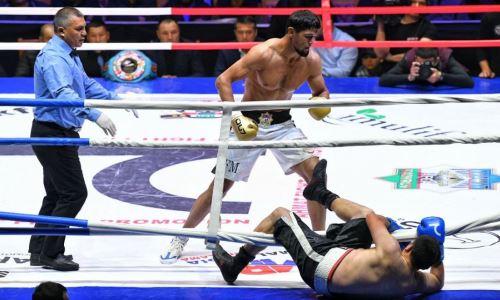 Узбекский боец ММА выкинул соперника за канаты в дебютном поединке на ринге. Видео эффектного нокаута