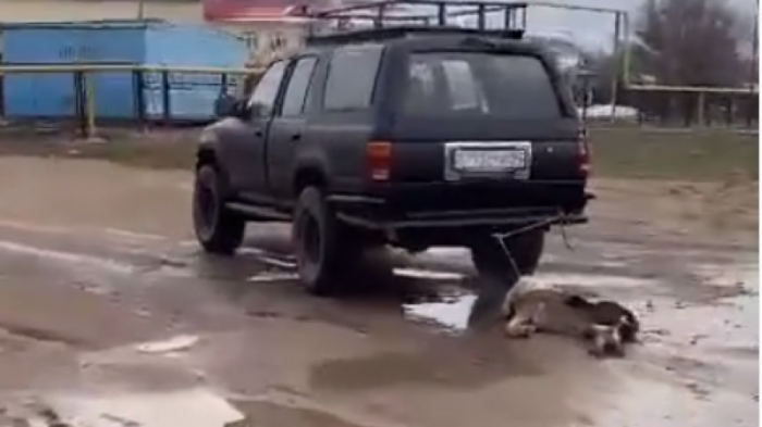 Неизвестный проехал с привязанным к авто трупом собаки в Алматинской области
                25 марта 2022, 04:41