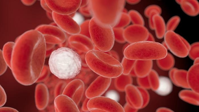 Микропластик впервые обнаружили в крови людей
                25 марта 2022, 14:42