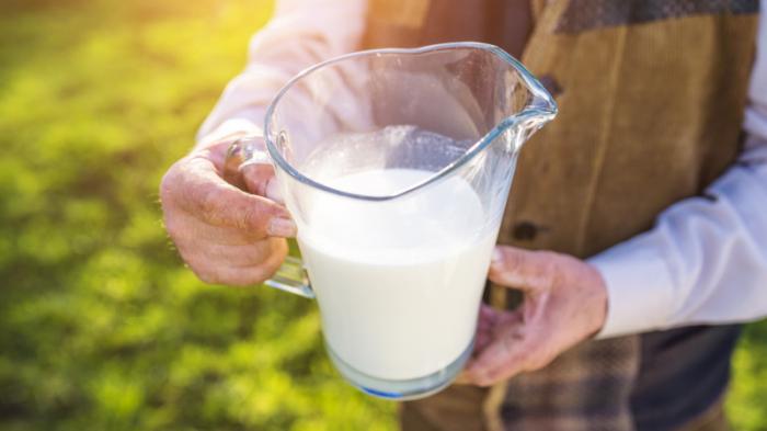 Молоко за 14 миллионов тенге: наказаны ответственные за закупки в Кызылординской области
                25 марта 2022, 16:50