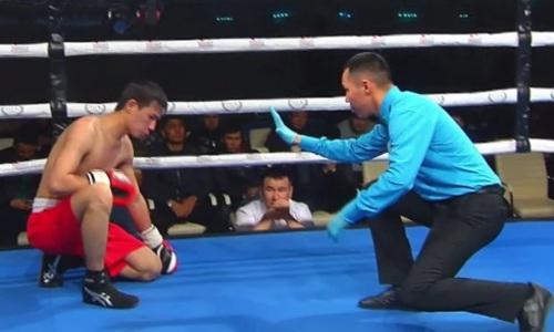 Небитый боксер из Казахстана заставил соперника «взять колено». Видео нокаута