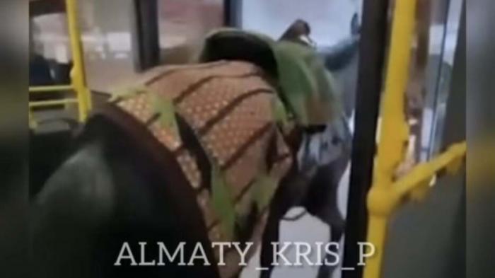 Перевозившего в автобусе лошадь мужчину оштрафовали в Алматы
                26 марта 2022, 17:58
